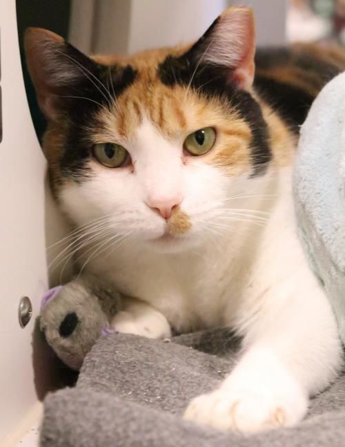 031719 Millie.jpg